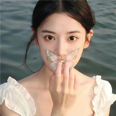 太阳花